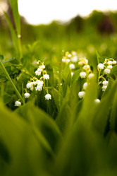 Similar image 21032881