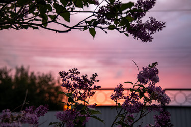 Similar image 21032890