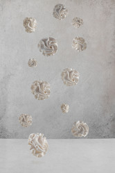 Similar image 21037321