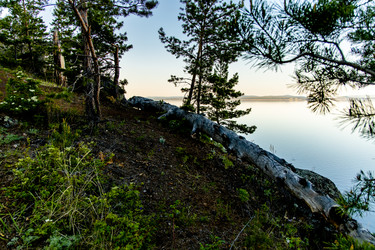 Similar image 21029634