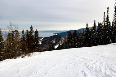 Similar image 21029471