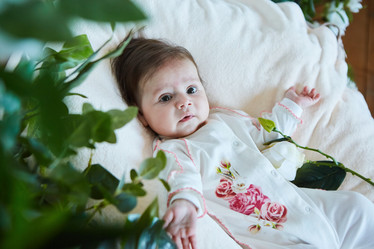 Similar image 21045798