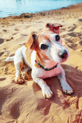 Similar image 21028841