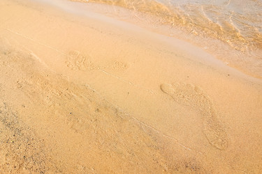 Similar image 21028842