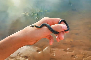 Similar image 21028843