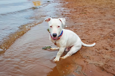 Similar image 21028844