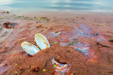 Similar image 21028845