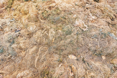 Similar image 21028847