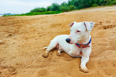 Similar image 21028851