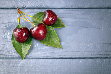 Similar image 21028858