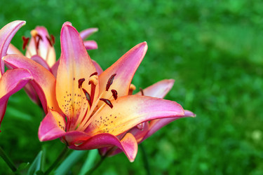 Similar image 21028859