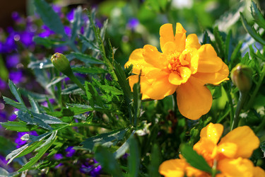 Similar image 21028861