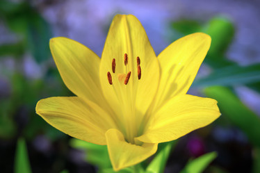 Similar image 21028862