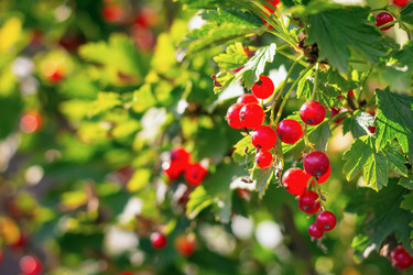 Similar image 21028866