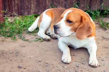 Similar image 21028868