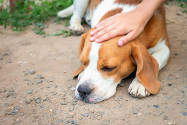 Similar image 21028869