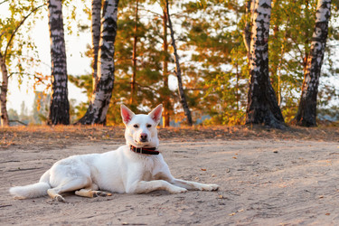 Similar image 21028871