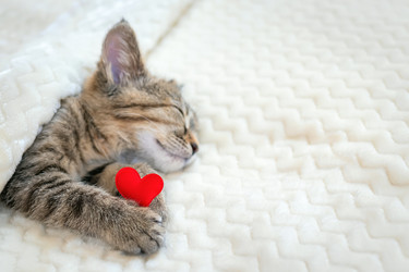 Similar image 21028873