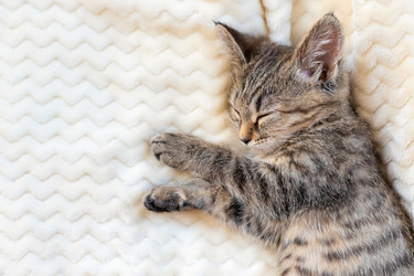 Similar image 21028874