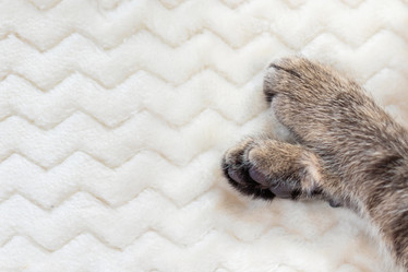 Similar image 21028875