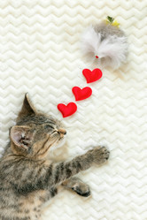 Similar image 21028876