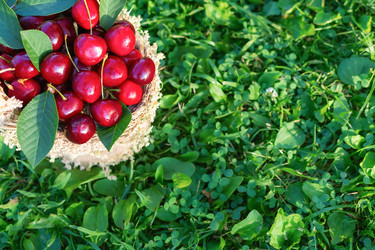 Similar image 21028877