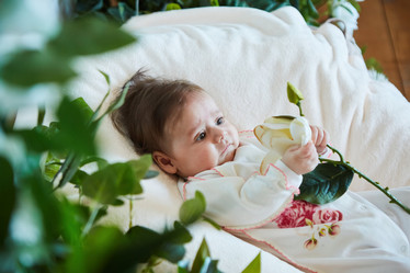 Similar image 21045848