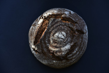 Similar image 21030066