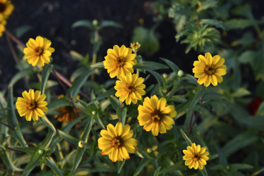 Similar image 21030201