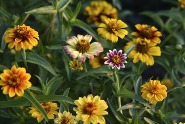 Similar image 21030202