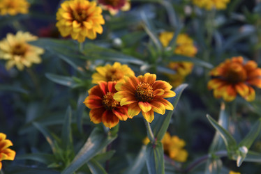 Similar image 21030203