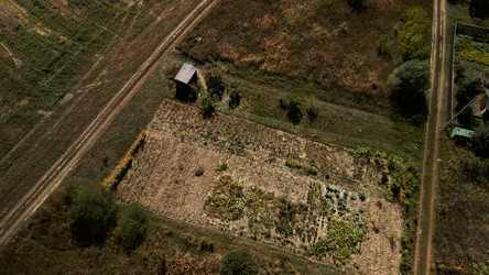 Similar image 21032671