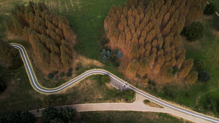 Similar image 21032692