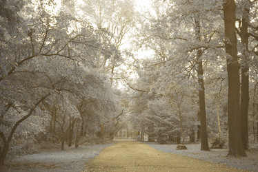 Similar image 21031675