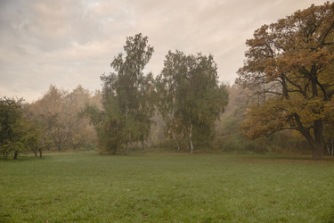 Similar image 21031677