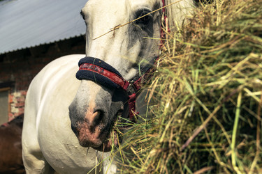 Similar image 21032505