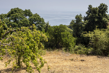 Similar image 21028656