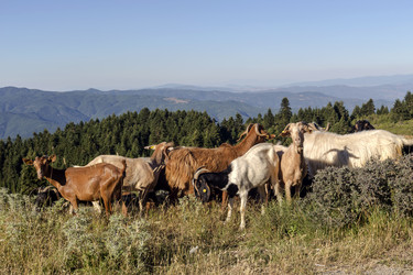 Similar image 21038251