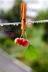 Similar image 21028657