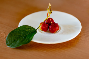 Similar image 21028658