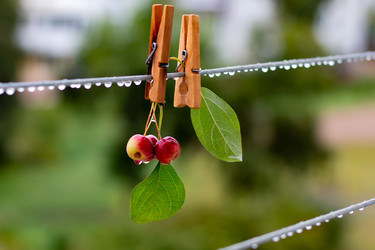 Similar image 21028659