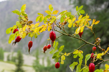 Similar image 21031680