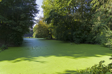 Similar image 21031688