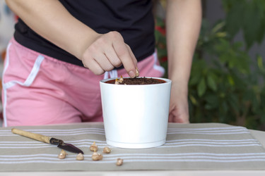 Similar image 21078454