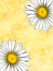 Similar image 21076372