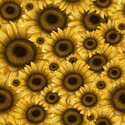 Similar image 21032509