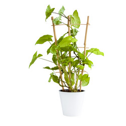 Similar image 21078456