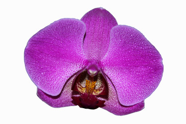 Similar image 21032515