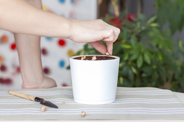 Similar image 21032525