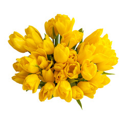 Similar image 21032526